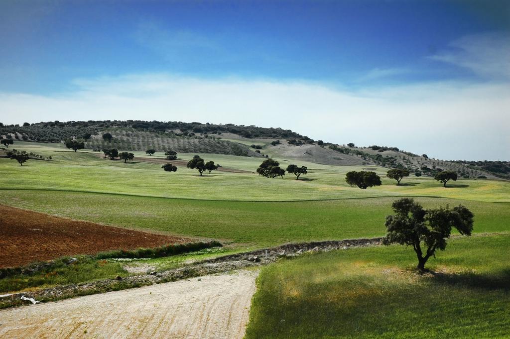 Apartamentos Turisticos Cortijo Garces Альхама-де-Гранада Экстерьер фото